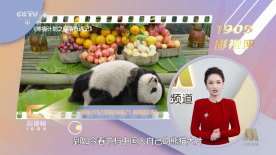 一区二区三区鲁丝不卡麻豆